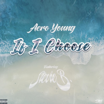If I Choose (feat. Stevie B) - Single