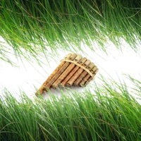 Top Boy Dre (feat. Young John Q) - Single - Drega