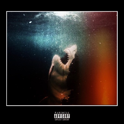 Sharks in the Water - Single