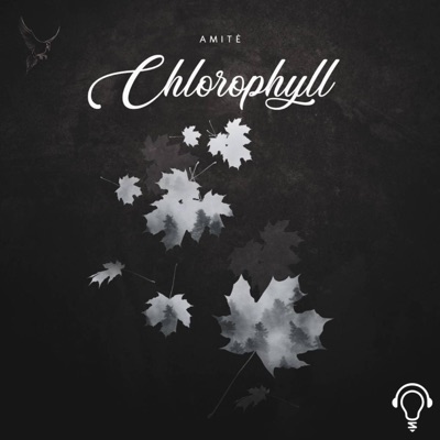 Chlorophyll - Single