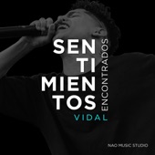 Sentimientos Encontrados artwork