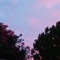 Cass - Sleepy Cat lyrics