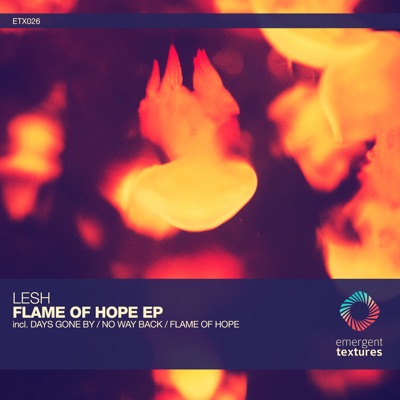 Flame of Hope - Single