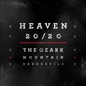 If You Wanna Get to Heaven 20/20 artwork