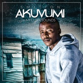 Akuvumi (feat. Mellow Sounds) artwork