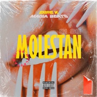 Si Se Molestan - Single - ERRE K & MagiaBeats