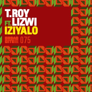 Iziyalo (feat. Lizwi) - Single