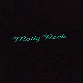 Molly Rocks (feat. Nazareth SuedeGod) NeeZy96