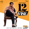 12 Vise (Remix) - Single