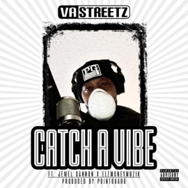 Catch a Vibe VA Streetz