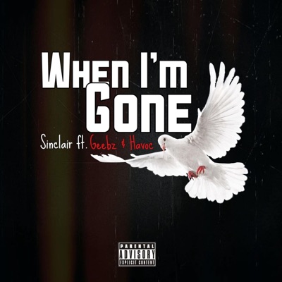 When I'm Gone (feat. Havoc & Geebz) - Single