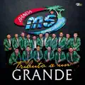 TRIBUTO A UN GRANDE