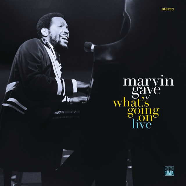 Inner City Blues (Make Me Wanna Holler) [Live at the Kennedy Center Auditorium, Washington, D.C., 1972]