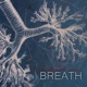 Breath Single