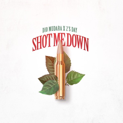 Shot Me Down - Single