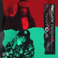 Verified (feat. Why Cue) - Single - ReMix Reek