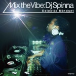 Mix the Vibe: Eclectic Mindset (DJ Mix)