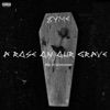 A Rose on Our Grave - Single