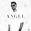 Angel - Zack Knight