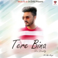 Tere Bina (feat. Rd Singh) - Single - Dr.Drillz