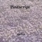 Postscript - Djeffon lyrics