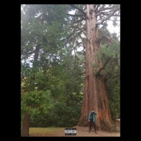 Igual Vivirá - Single - Khail