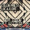 You Want It (Sasa Di Toma Remix) - Collin Priest & LucaJLove lyrics