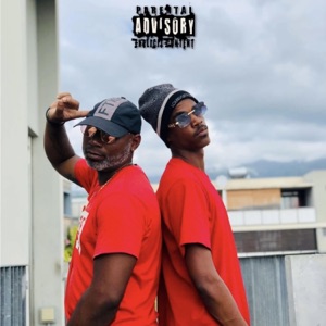 C'est des fous (feat. Sylo)