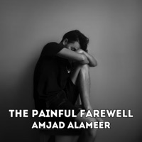 The Painful Farewell - Single - AMJAD ALAMEER