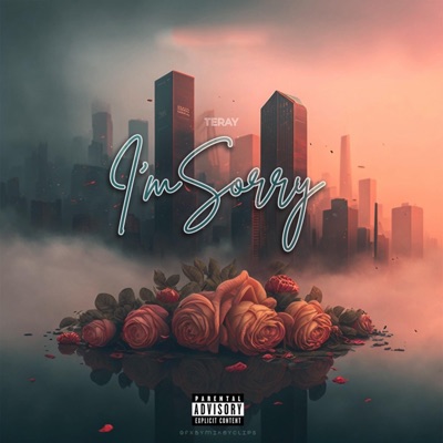 Im Sorry - Single
