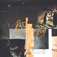 Rats in My Rug - Single - Kataem