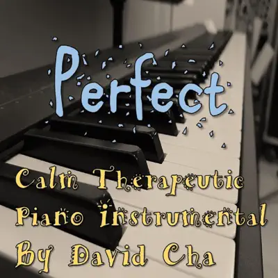 David Cha Perfect Piano Instrumental