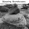 Raf21 - Sleeping Soundscapes
