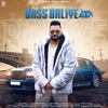 Bass Balliye - Single