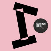 Toolroom Radio Ep502 - Presented by Mark Knight (DJ Mix) artwork