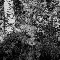 SLW16 - EP - MemoB & Aleaka