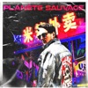 Planète Sauvage - Single
