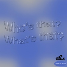 Who's That What's That artwork