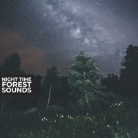 Nature Field Recordings - Night Time Forest Sounds - EP artwork