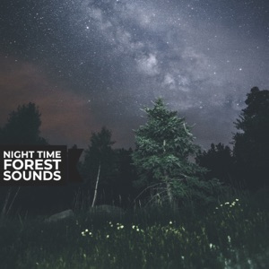Night Time Forest Sounds - EP