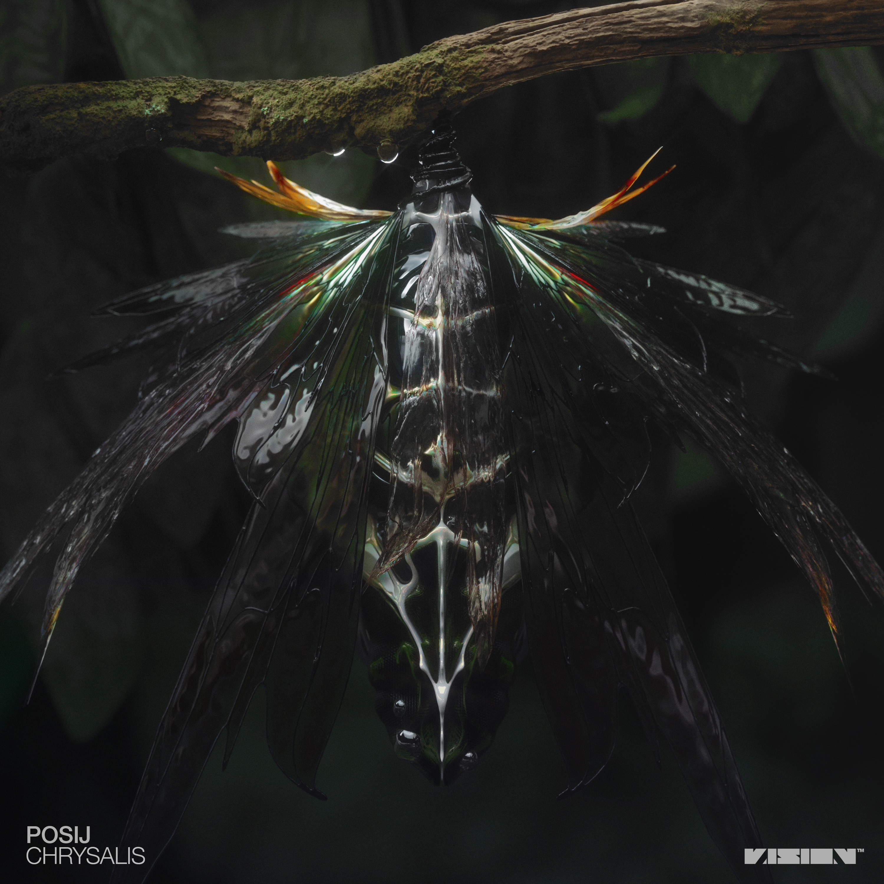Chrysalis - EP