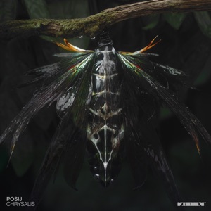 Chrysalis - EP