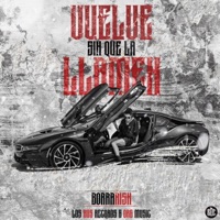 Vuelve - Single - Borrarish