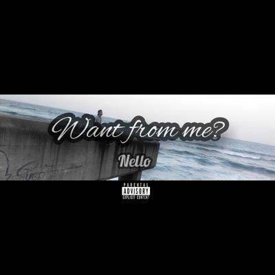 Want From Me ? - Single