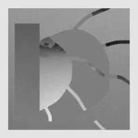 Halos — Hollt