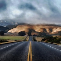 Yol - Single - Robert