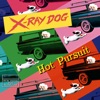 X-Ray Dog - Falling Madly For You