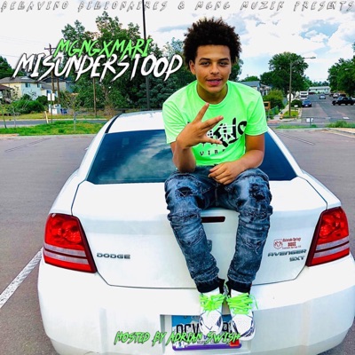 Misunderstood