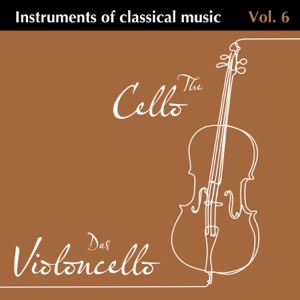 Finale - Introduction (Symphony No. 9 
