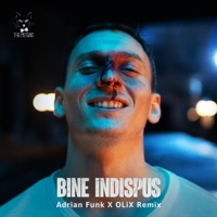 BINE INDISPUS (REMIX)